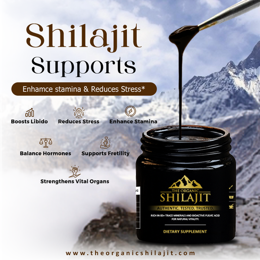 Shilajit Resin โ 500g (1000 Servings)