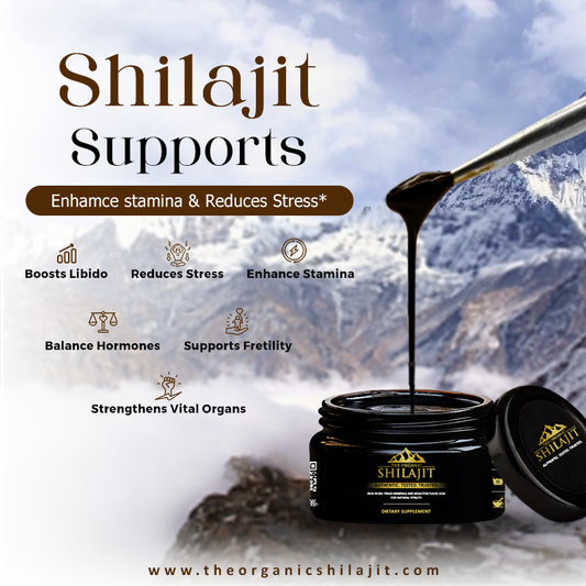 Shilajit Resin โ 100g (200 Servings)